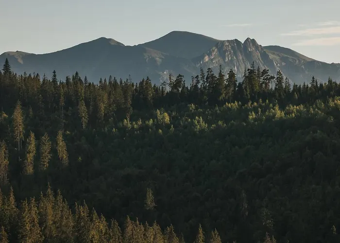 Pod Gontem * Bukowina Tatrzańska